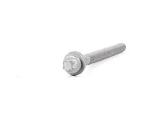 Genuine MINI Torx Bolt M10X125 - 22116766753