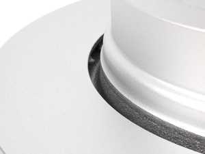 Rear Brake Rotors - Pair (320x22)