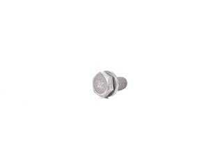 Genuine BMW Hex Bolt With Washer 07119904517
