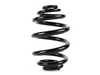 Genuine BMW Genuine BMW Rear Coil Spring - E46 M3 33532283137 View 1