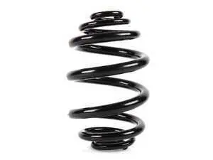 Genuine BMW Rear Coil Spring - E46 M3