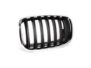 Genuine BMW Front Grille cover - Left - E70 X5 M xDrive30i xDrive35i E71 X6 M xDrive35i