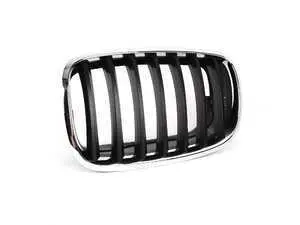 Genuine BMW Front Grille cover - Left - E70 X5 M xDrive30i xDrive35i E71 X6 M xDrive35i