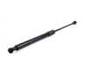 Genuine BMW Hood Shock - E9x M3 51237900795 View 1