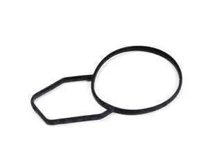 Thermostat Housing Gasket