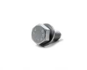 Genuine BMW Hex Bolt With Washer - 07119905529