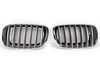 Genuine BMW Titanium Grille Kit 51137185223224 View 3