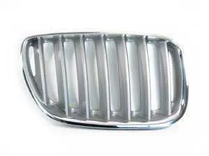 Genuine BMW Grille, Front, Right Titan 2 - 51137124816 - E53