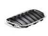 Genuine BMW Genuine BMW Kidney Grille - right - E53 M54 3.0L 51137113734 View 1