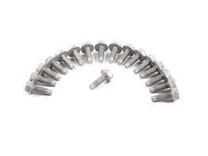 Genuine BMW Set Of 6-point Bolts - N52 3.0L 24117581606