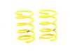 Suspension Techniques ST Suspensions Lowering Spring Set - BMW E90, E92 65294 View 2