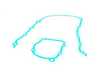 Genuine BMW Genuine BMW Lower Timing Chain Gasket Set - M42 11141721802 View 1