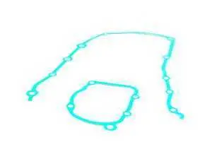 Genuine BMW Lower Timing Chain Gasket Set - M42
