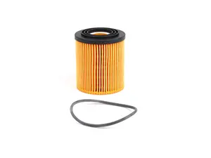Oil Filter Kit With O-Ring HU 816/2 X R50 R52 R53