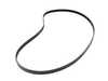Continental OEM Continental Accessory Serpentine Belt - E90 E82 E60 E70 E83 11287549150 View 2