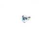 Genuine BMW Genuine BMW Fillister Head Self-tapping - 07119907786 07119907786 View 1