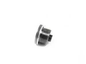 Genuine BMW Screw Plug With Gasket Ring