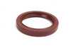 Packaged by Turner Ultimate Timing Belt Kit - Level 2 M20_11 View 4