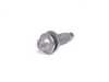 Genuine BMW Genuine BMW Torx-bolt With Washer - 51217062145 51217062145 View 1