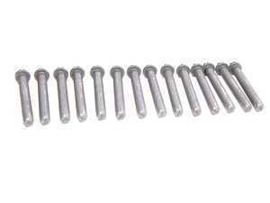 Genuine BMW Cylinder Head Bolt - Set - S54