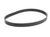Genuine MINI Genuine MINI Accessory Belt 11287566789 View 2