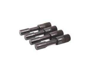 Genuine BMW Camshaft Securing Pins - E39 M5