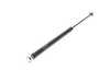 URO URO Hood Strut - BMW E30 E36 51238119558 View 4