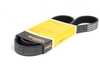 Continental Conti Tech Accessory Belt - Alternator/Power Steering Pump - E31, E32 11281736719 View 1