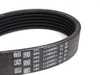 Continental Conti Tech Accessory Belt - Alternator/Power Steering Pump - E31, E32 11281736719 View 2