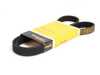 Continental Conti Tech Accessory Belt - Water Pump/Air Conditioning Compressor - E31, E32 11281733708 View 1