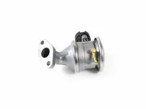 Genuine BMW Air Pump Valve - E46 325xi 325i