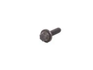 Genuine BMW Torx Bolt M6X25 - 11311731952 - E34,E38,E39,E53,E39 M5