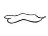 Genuine BMW Genuine BMW Door Seal - Right - E30 Coupes 51711876152 View 1