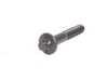 Genuine BMW Genuine BMW Torx Bolt M10X60 - 11311741254 - E34,E38,E39,E53,E39 M5 11311741254 View 1