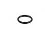 Genuine BMW Genuine BMW O-Ring 23,0X3,0 - 11421702916 - E38,E39,E53,E39 M5 11421702916 View 2