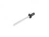 Genuine BMW Genuine BMW Blind Rivet - 63137055874 - E46 63137055874 View 2