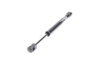 Trunk Gas Strut - Priced Each