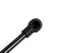 Genuine BMW Genuine BMW Trunk Strut - Z3 2.8, Z3 M Coupe 51248399296 View 2