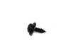 Genuine BMW Genuine BMW Fillister Head Self Tapping 07119907939 07119907939 View 1