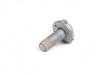 Genuine BMW Genuine BMW Torx Bolt M8X23 - 51717063831 - E63,E60 M5,E63 M6 51717063831 View 2