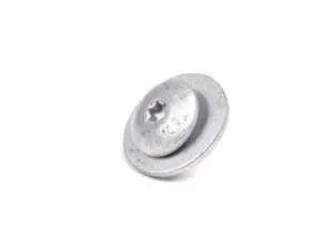 Genuine BMW Fillister Head Screw M6 - 51237203737 - E46,E53