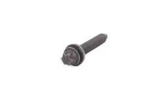 Genuine BMW Torx Bolt - 07129903192