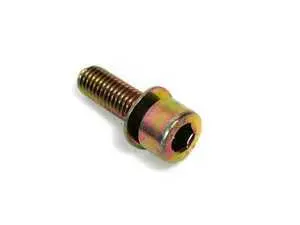 Genuine BMW Fillister Head With Washer - 07119920022 - E30,E34,E39