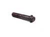 Genuine BMW Genuine BMW Catalytic Converter Torx Bolt - Multiple BMWs 11621318568 View 1