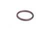 Genuine BMW Genuine BMW O-Ring 20X2,5 - 11437519850 - E46 11437519850 View 1