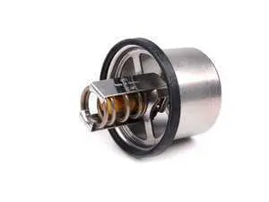 Mahle-Behr Thermostat - 79Âº C - E34, E39, E52