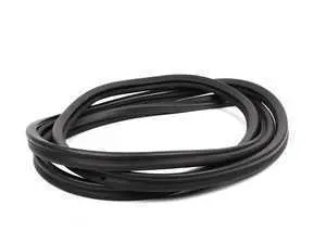 Genuine BMW Door Weatherstrip Left - 51711823859