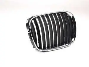 Genuine BMW Kidney Grille - Right - E39 525i 528i 530i 540i