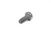 Genuine BMW Genuine BMW Oval Head Screw - 07147121723 - E63,E90,E92,E93 07147121723 View 2