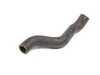 Genuine BMW Genuine BMW Coolant Hose 11531703844 View 3